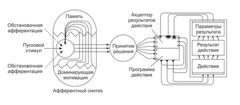 Система поведенческого акта