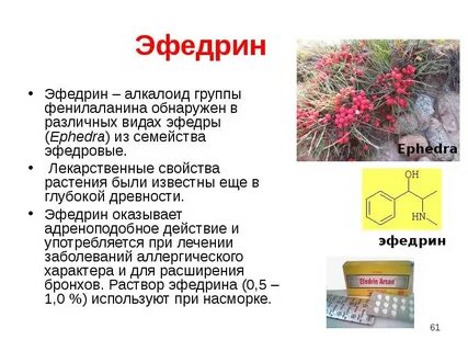 Эфедрин относится тест аккредитация