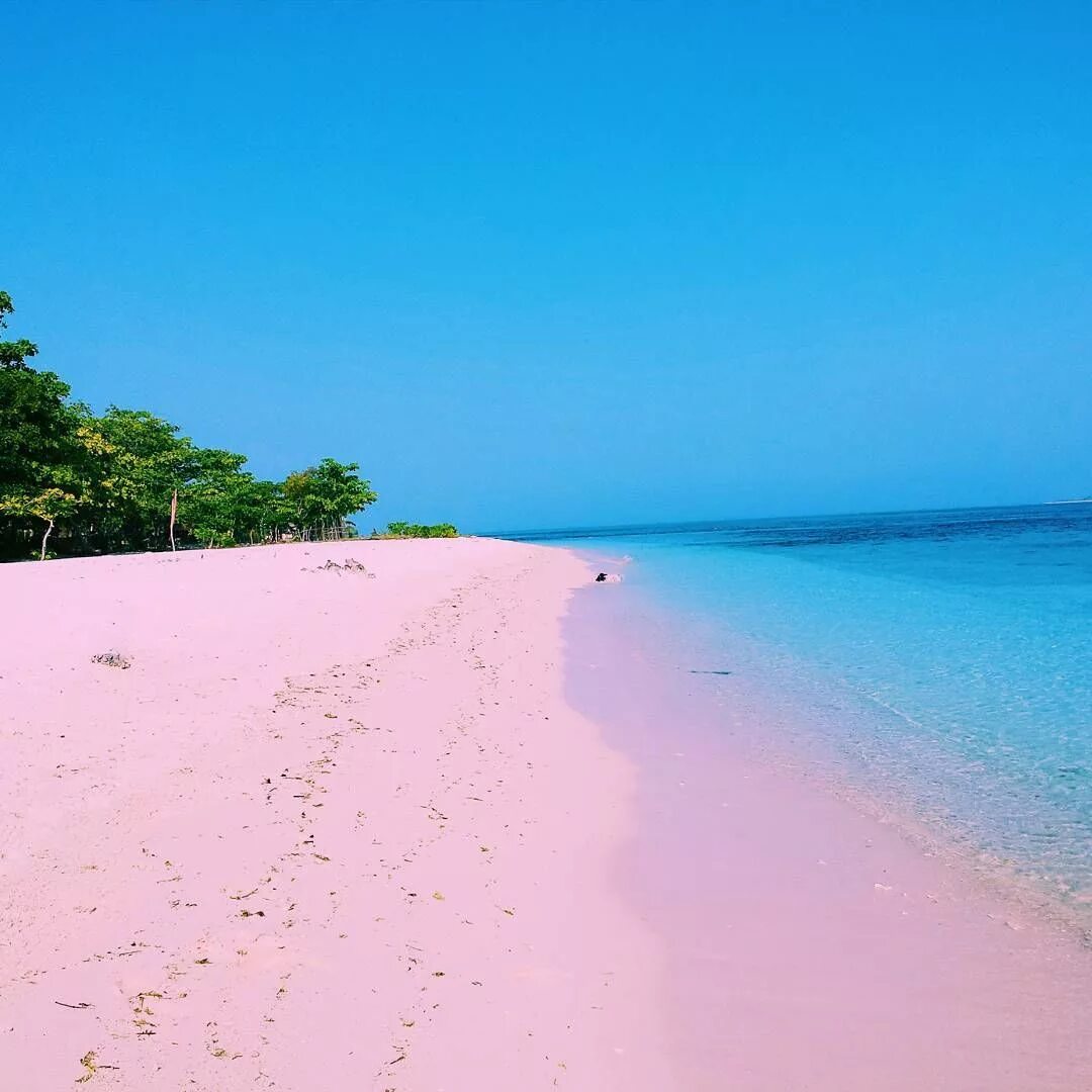 Пинк-Сэндс-Бич, Багамские острова. Комодо Индонезия розовый пляж. Пляж Пинк Сэндс Багамские острова. Розовый пляж Пинк Сэндс Бич, Багамские острова. Harbor island
