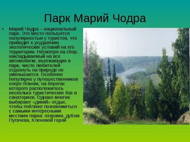 Богатство марий эл. Заповедники и национальные парки Республики Марий Эл. Заповедники Республики Марий Эл Марий Чодра. Парк Марий Чодра национальный парк Марий Чодра. Озера национального парка Марий Чодра.