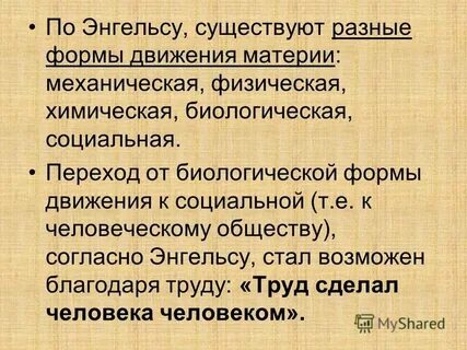 Общество согласно