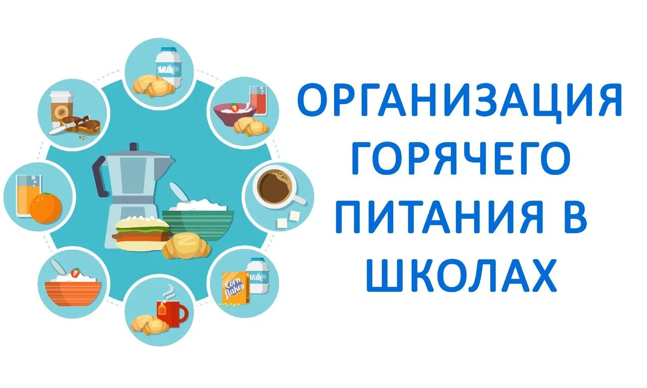 Организация горячего питания. Организация питания в школе. Организация питания в образовательных учреждениях. Организация питания в школьных столовых.