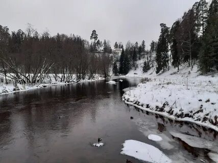 Горки сиверский