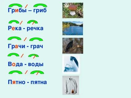 Корень слова вода