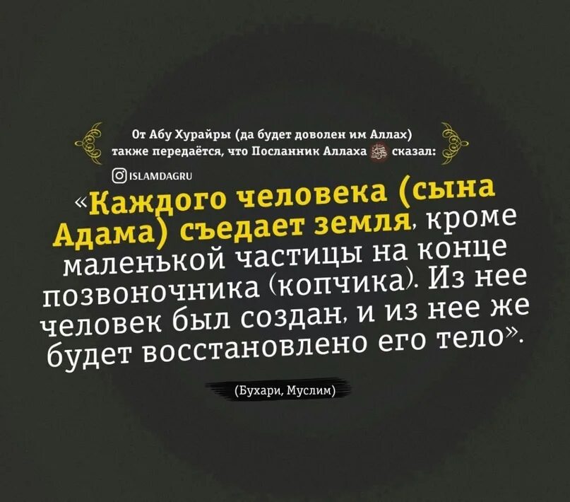 Абу Хурайра хадисы. Сподвижник Абу Хурайра. Абу Хурайра цитаты. Передает что посланник аллаха сказал