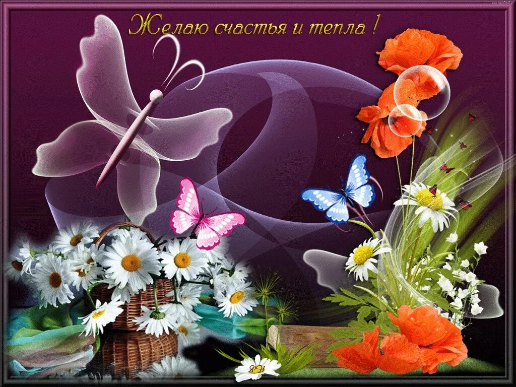 Чудесного весеннего утра и прекрасного настроения красивые. Нежный натюрморт с цветами. Открытки пожелания душевного тепла. Всем прекрасного настроения и гармонии. Всем прекрасного настроения и гармонии.