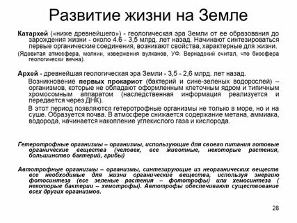 Ниже древнейшего