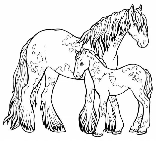 Cavalli da Colorare - Disegni per Bambini da Stampare