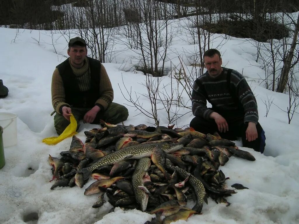 Река Ворыква. Ворыква река Коми. Зимняя рыбалка. Рыбы зимой.