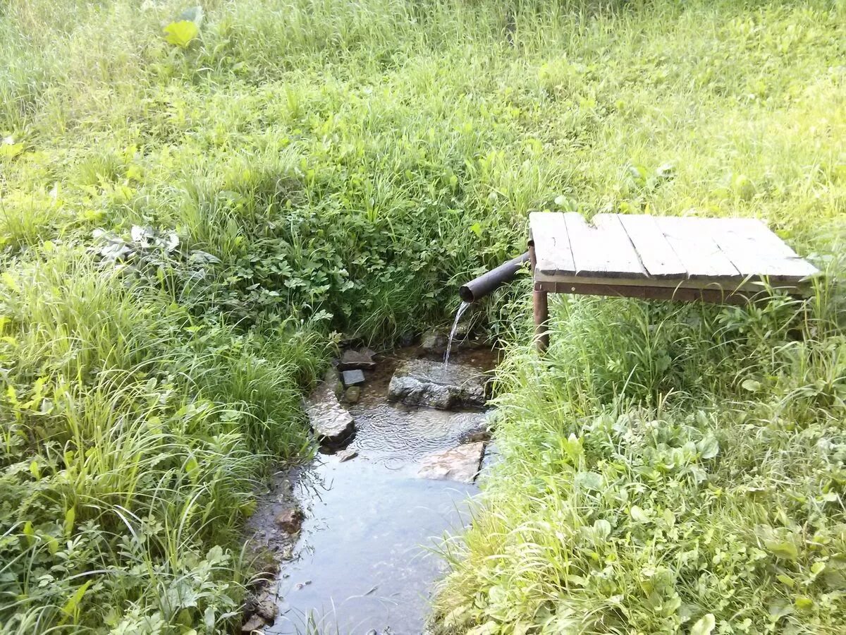 Родник в луге. Родники ключи колодцы святые источники Оричи. Родник в лесу. Деревенский Родник. Святой источник в лесу.