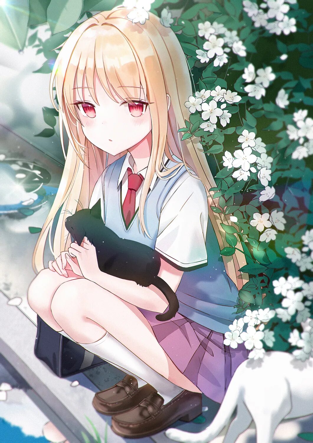 Sakurasou no pet na. Mashiro Shiina. Сакурасо Масиро Сиина. Кошечка из Сакурасо Сиина Масиро.