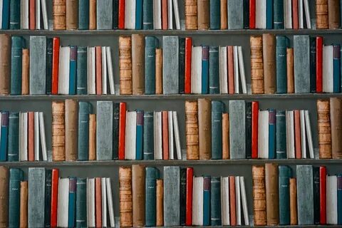 Их любимая полка с книгами