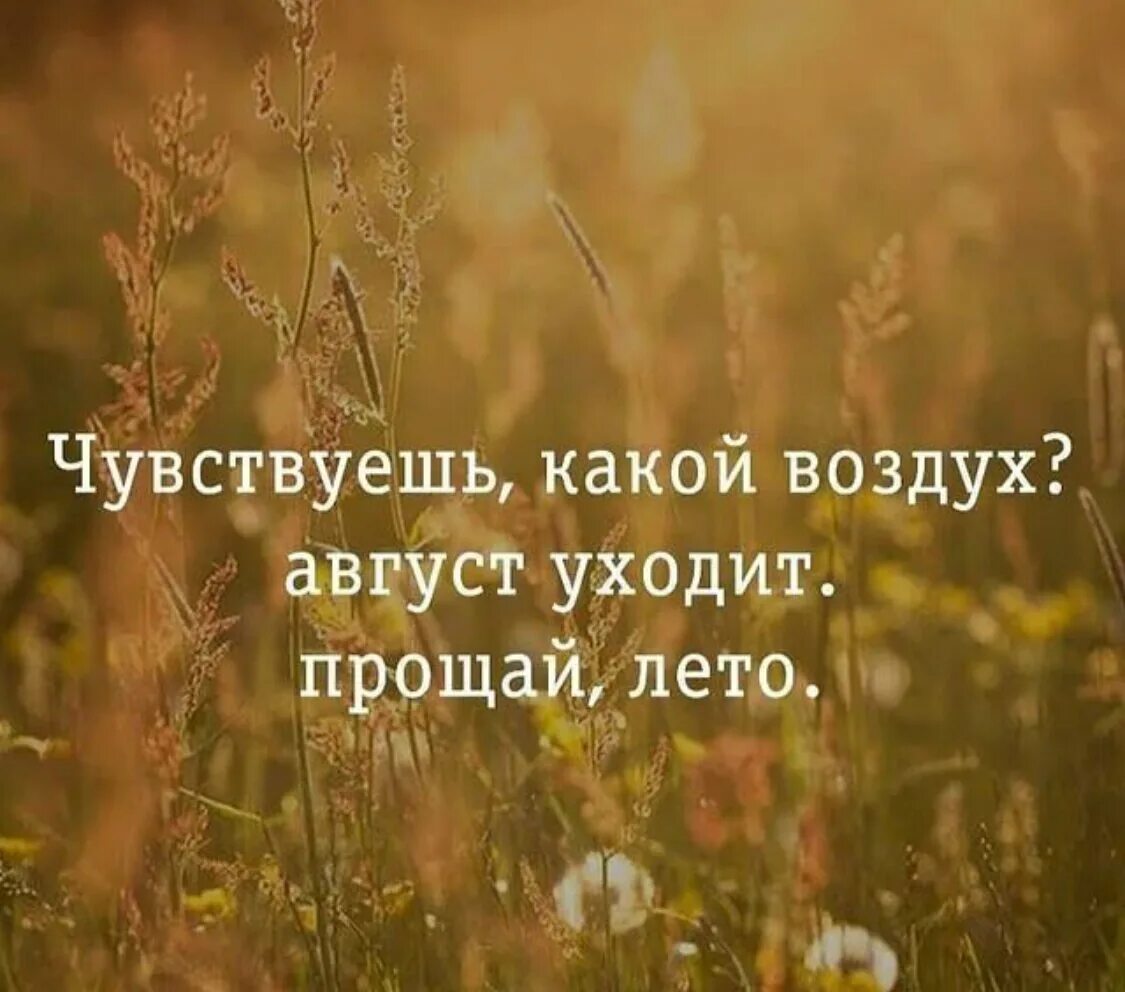 Предложение о конце лета. Лето, Прощай. Фразы об уходящем лете. Лето афоризмы высказывания. Цитаты про август.