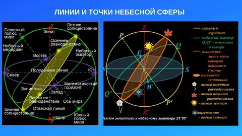 Укажите названия точек и линий