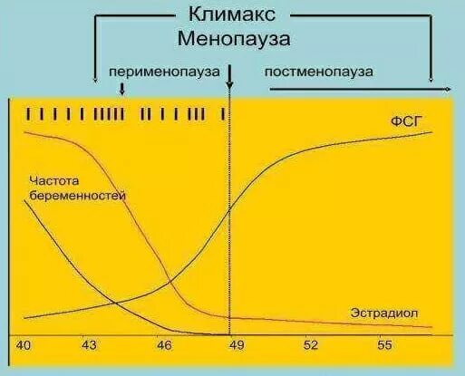 Время пременопаузы. Менопауза перименопауза постменопауза. Гормональные изменения климактерического периода. Менопауза изменения в уровне гормонов. Уровень гормонов при климаксе у женщин.