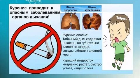 Жизни опасные органы