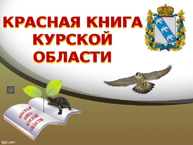 Проект "Сохранение животного и растительного мира Курской области"