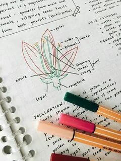 Notes ideas