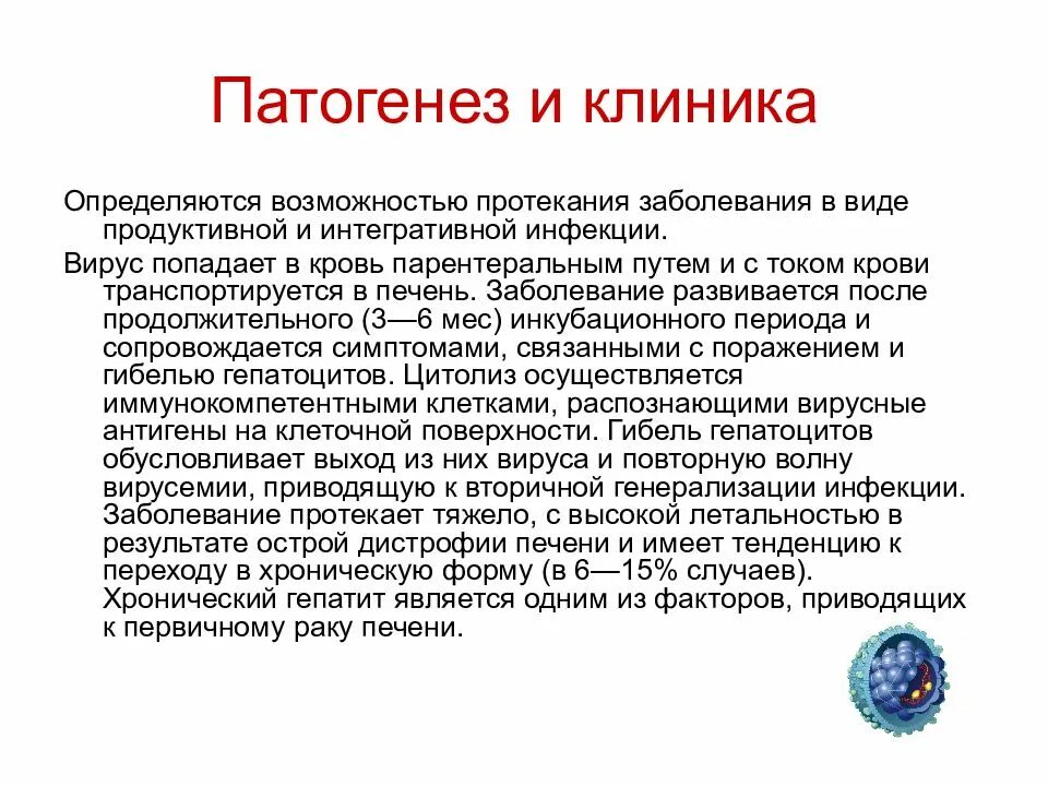 Вирусный гепатит б патогенез. Патогенез гепатита d. Этиология вируса гепатита b. Патогенез и клиника вирусного гепатита с.