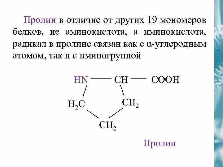 Укажите мономер белка. Пролин аминокислота формула. Пролин формула химическая. Пролин аминокислота формула структурная. Пролин строение аминокислоты.