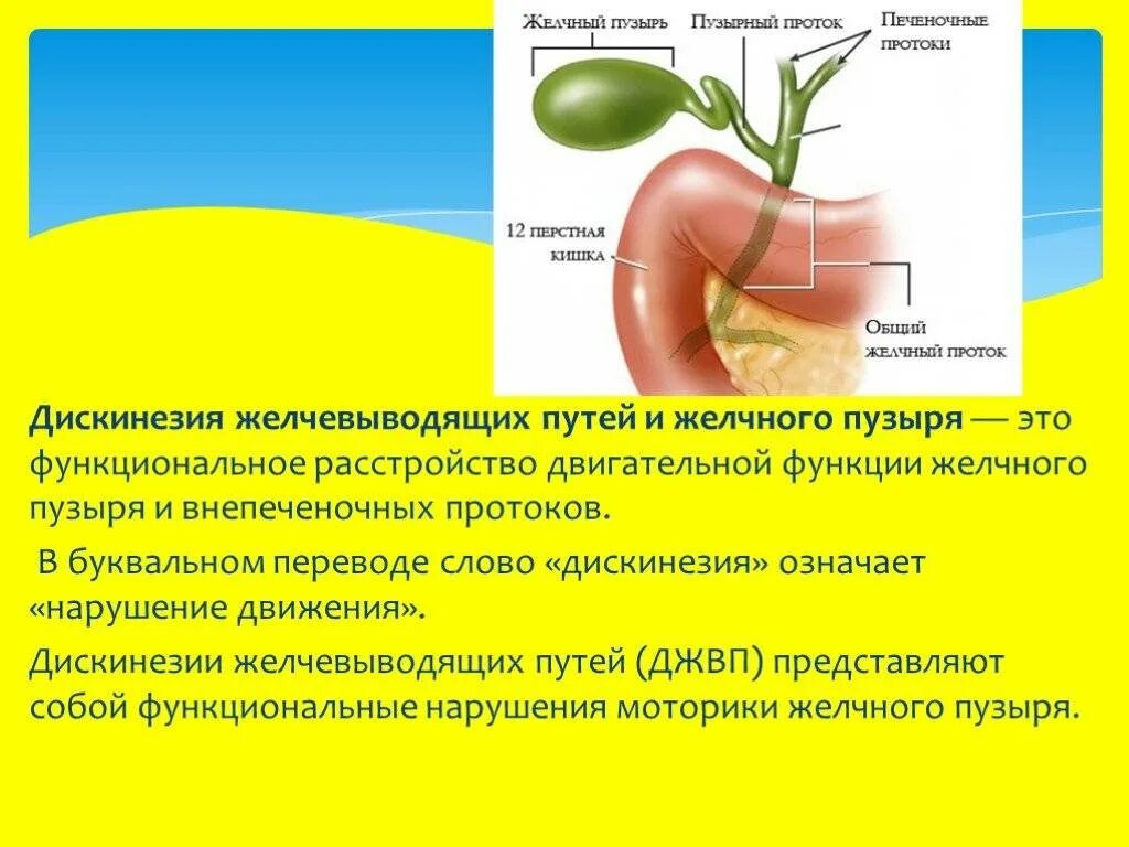 Заболевание дискинезия желчевыводящих путей. Дискинезия желчевыводящих путей (джвп). Дискинезии желчного пузыря и желчевыводящих путей классификация. Дискинезия желчных путей основные симптомы.