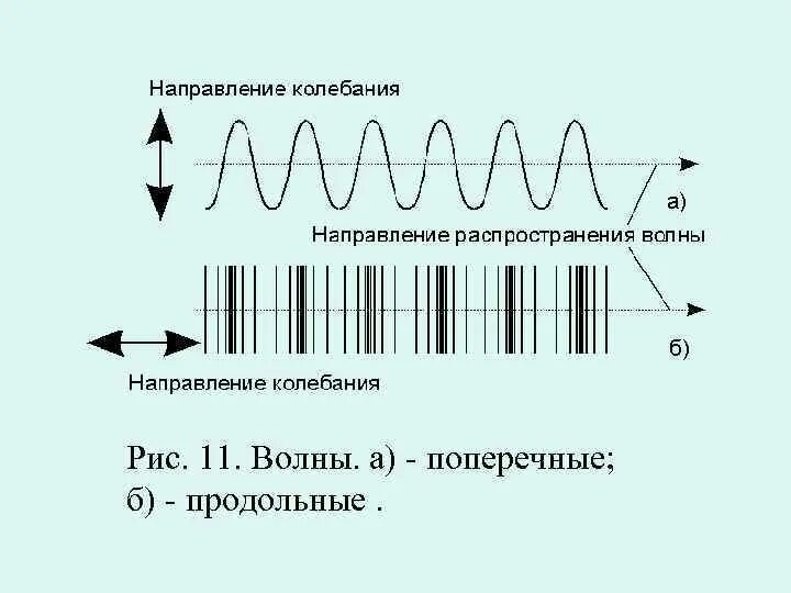 Чем отличается волна от колебаний. Различие поперечных и продольных волн. звуковые поперечные колебания и волны. продольные и поперечные колебания. продольная звуковая волна.