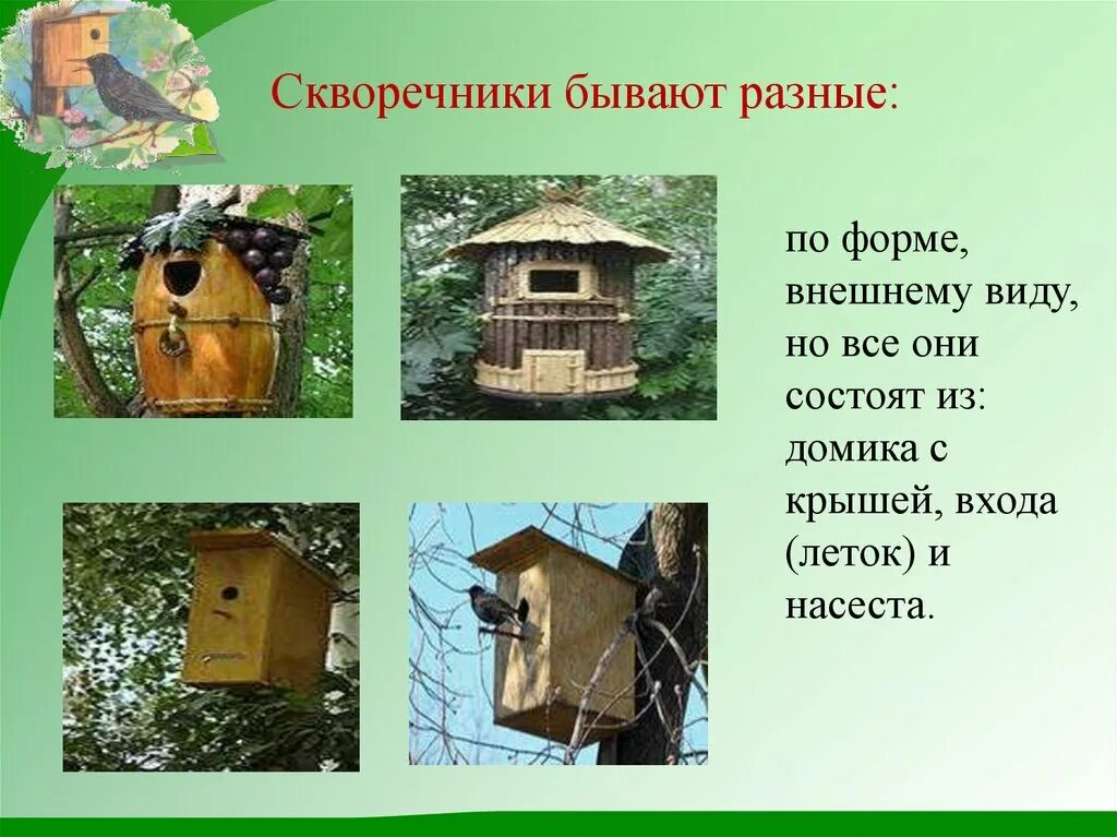 Скворечник ударение. Проект по скворечнику. Проект скворечник для птиц. Презентация скворечник. Скворечник по технологии.