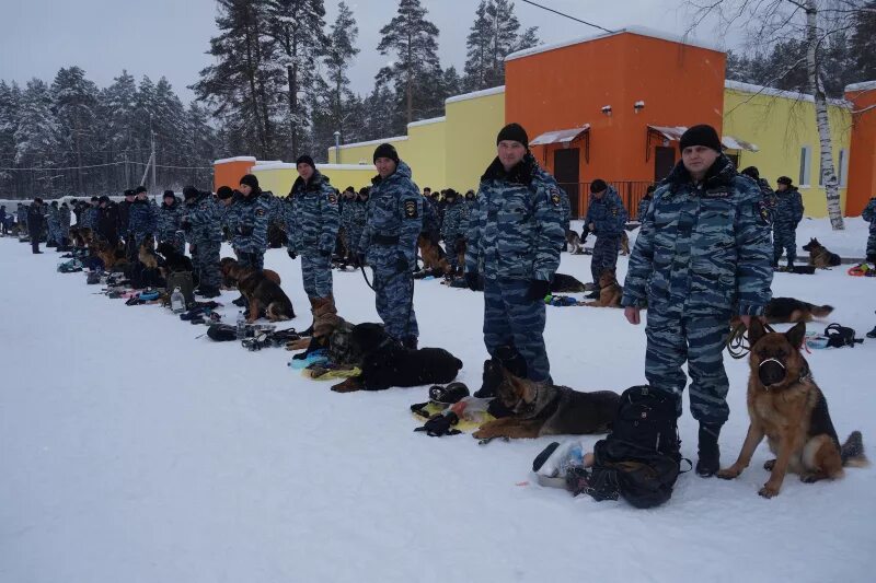 Спец срс
