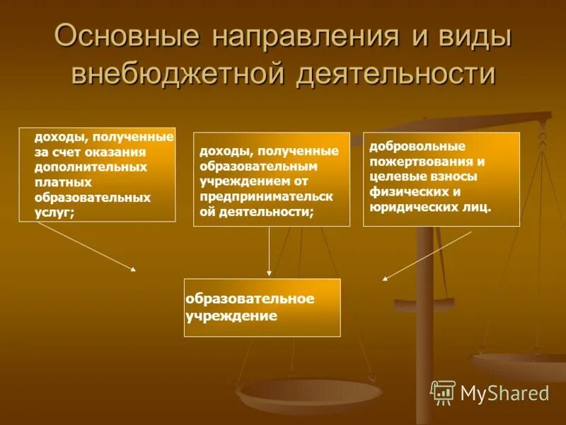 Направление деятельности института. Виды внебюджетного финансирования. Внебюджетные источники финансирования образовательных учреждений. Виды внебюджетной деятельности в образовательных организациях. Виды внебюджетной деятельности.