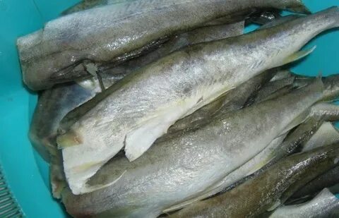 Навага или минтай что вкуснее