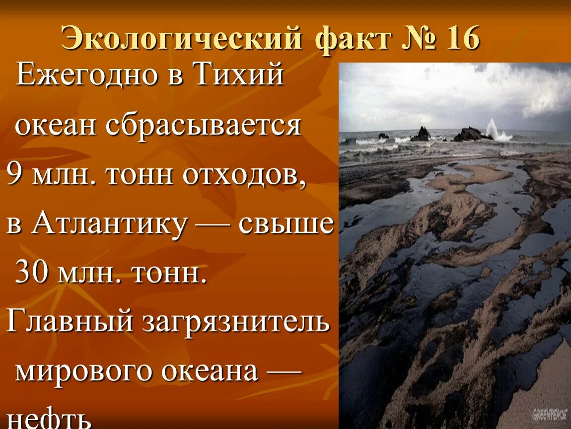 Проблема экологии факты. Интересные факты об экологии. Интересные факты об окружающей среде. Интересные факты про экологические проблемы. Экологические факты интересные.