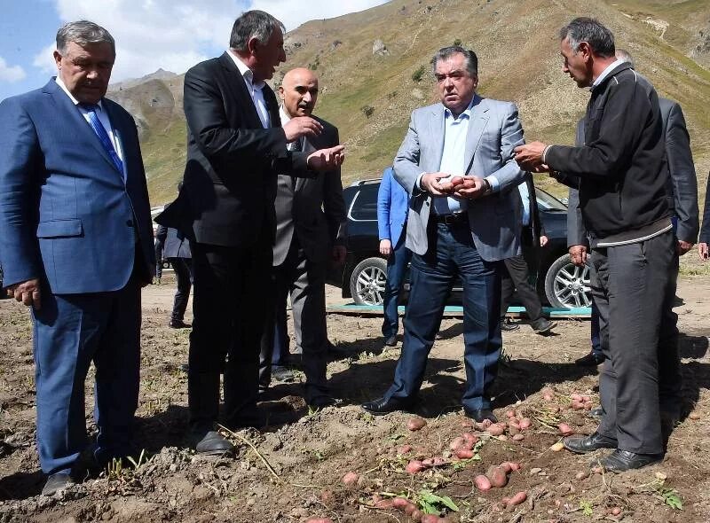 КАНАСК Ромит Таджикистан. Рахмон Вахдат. Агроном Таджикистан. Эмомали Рахмон Вазорати кишоварзи.