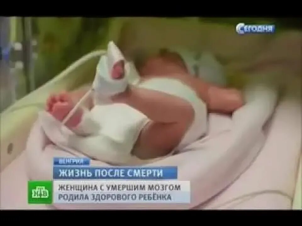 рождаются ли заново умершие. смерть. рождаются ли заново умершие. эшли бэббит ветеран ввс. рождаются ли заново умершие.