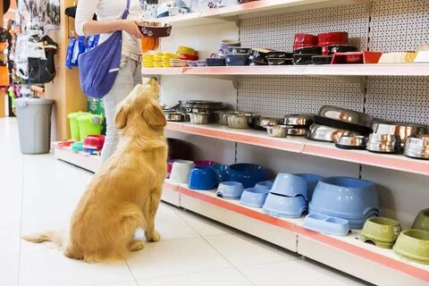 Pet shop корм