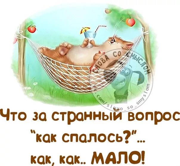 Pin van Shizantus&HakunaMatata op Котики