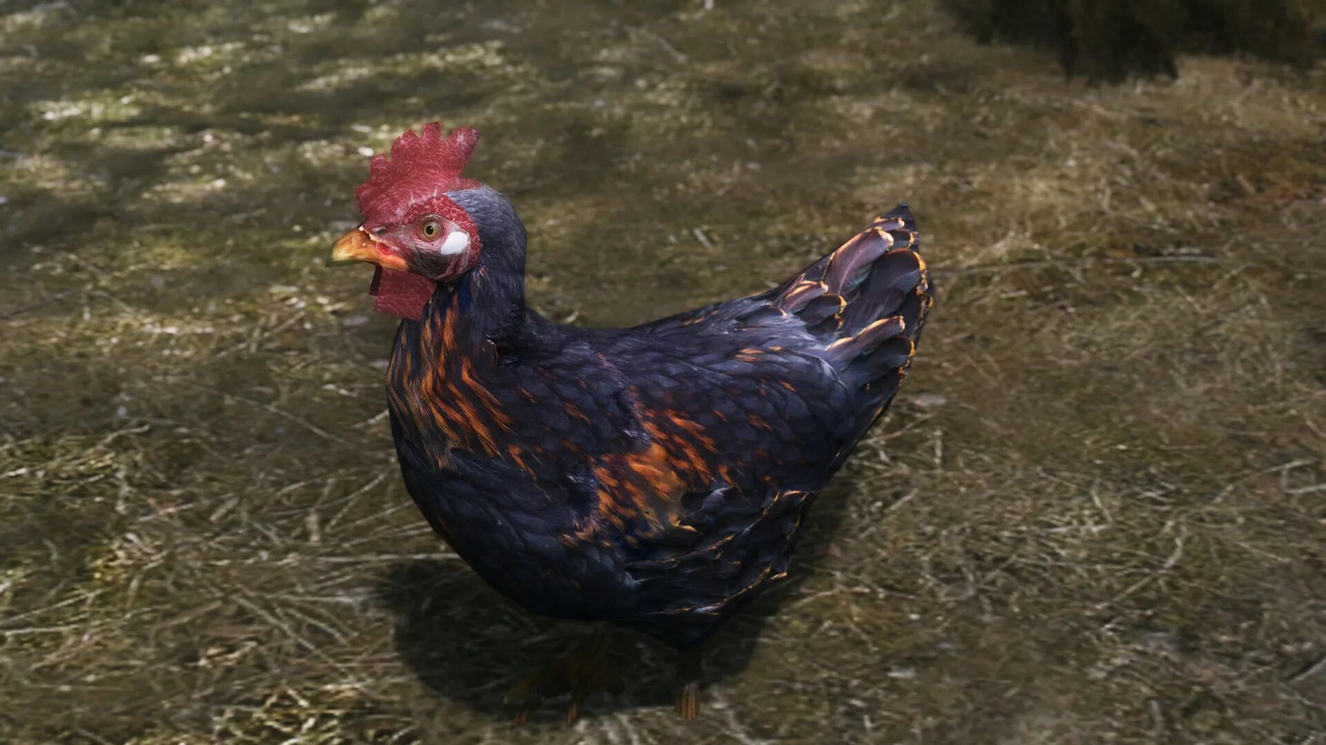 Skyrim chicken. Мемы про курицу скайрим. Вас заметили. Вас заметили скайрим. Скайрим курятник.