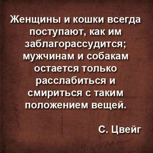 Она всегда была кошкой. Женщины и кошки всегда поступают как им заблагорассудится. Заблагорассудится как пишется. Как заблагорассудится. Не заблагорассудится.