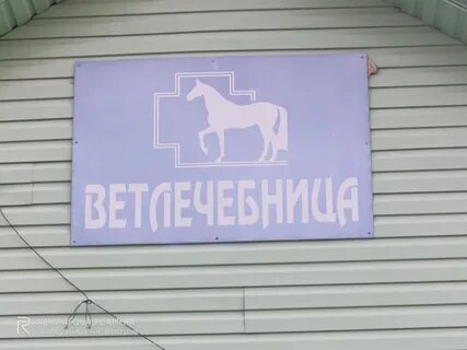 Терветуправление no 2 пушкинская ветеринарная станция