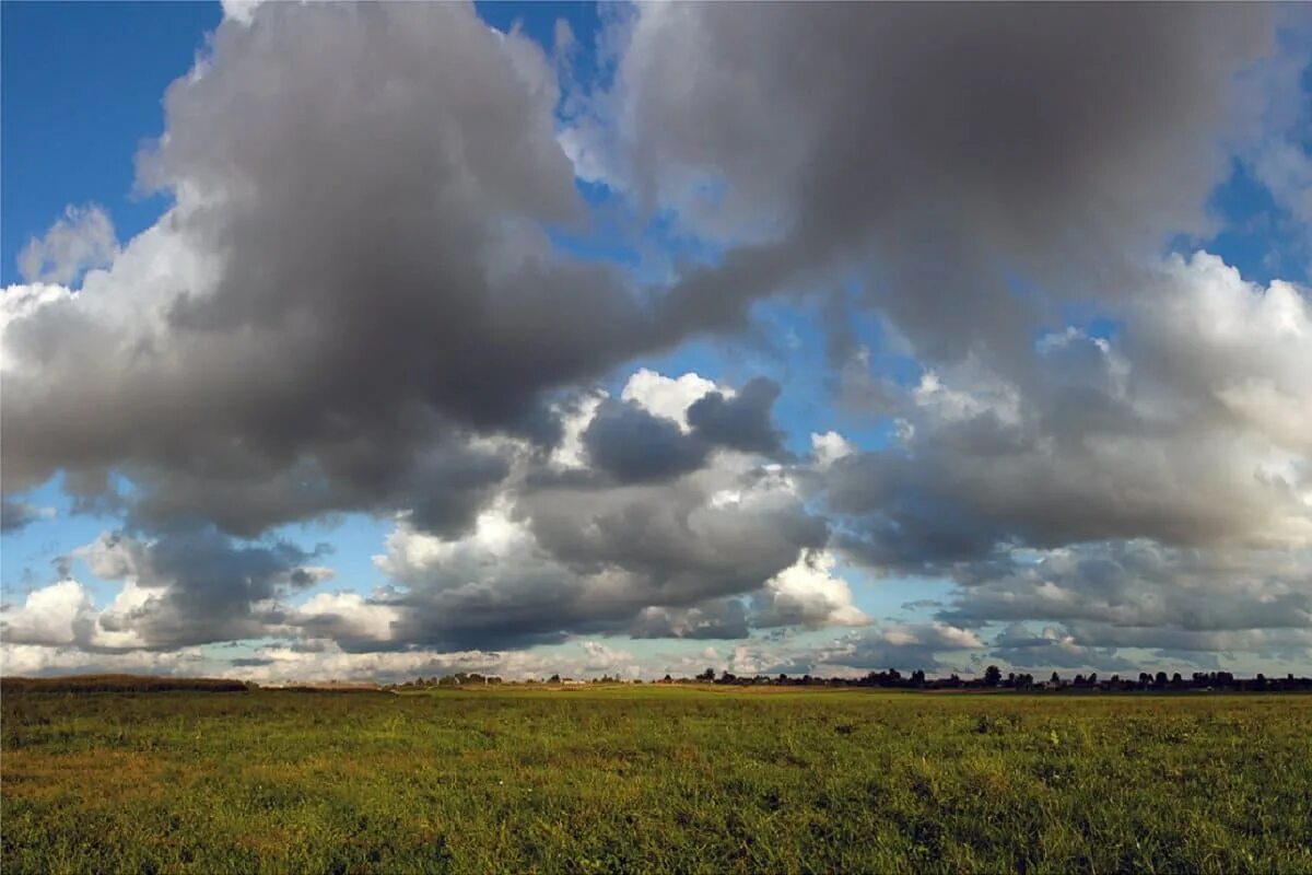 Cloudy june