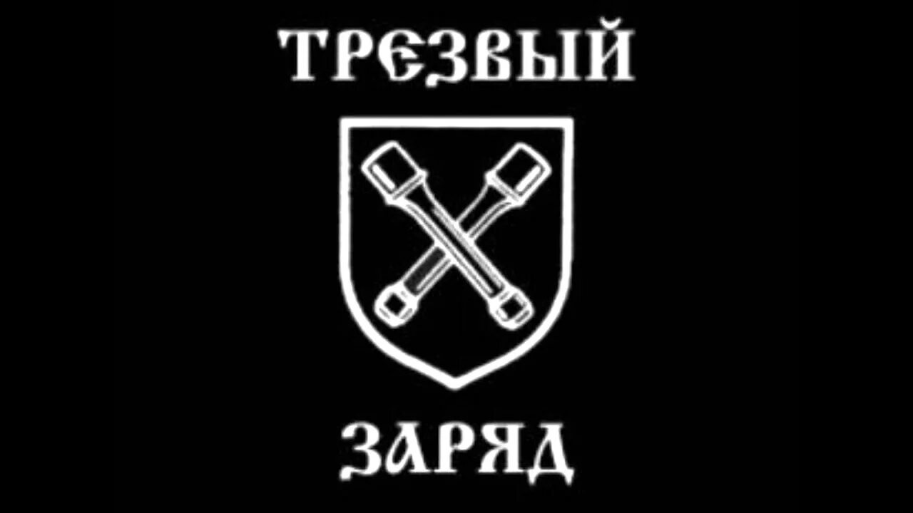 Включи трезвый заряд. Трезвый заряд футболка. Стикеры трезвый заряд. Трезвый заряд группа. Трезвый заряд лого.