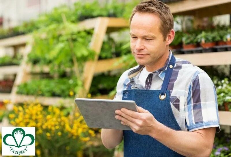 Предпринимательство в малых городах. Домашний бизнес идеи с нуля. Молодые предприниматели. Бизнес идея для кондитера. Оригинальные идеи для бизнеса в маленьком городе.