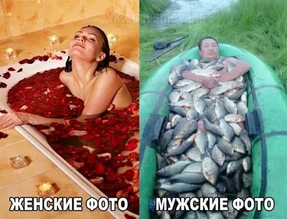 Смешные приколы ржачные картинки