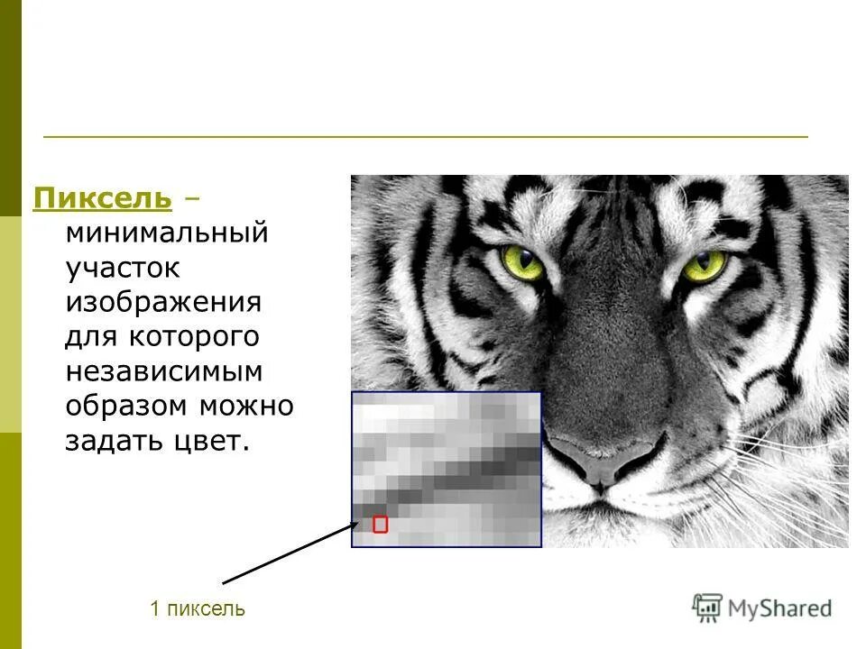 Скачай 1 пиксель. Один пиксель. изображение в один пиксель. пиксель это минимальный участок изображения. минимальный участок графического изображения.