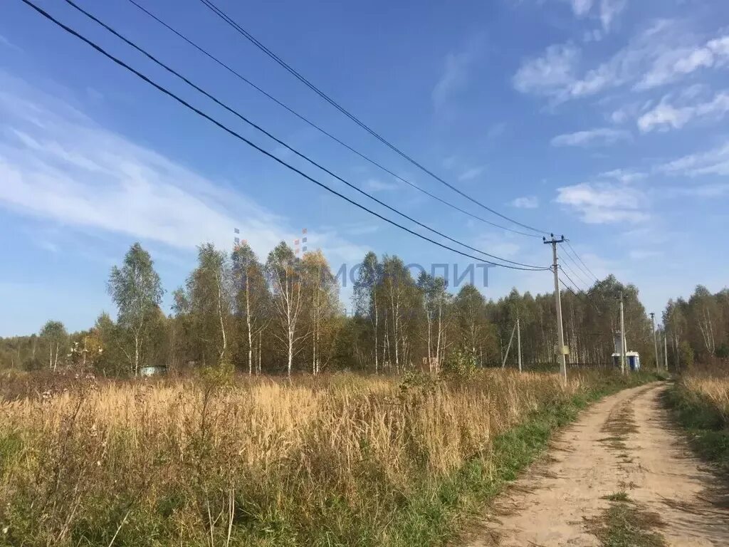 Д кожевенное. "Деревня Кожевенное Богородский район. Деревня Кожевенное Богородского района Нижегородской области. Кожевенное станция Богородский район. С хороши Богородский район.