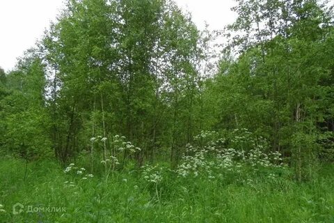 Продам участок светлое