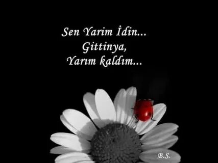 Sen yarim