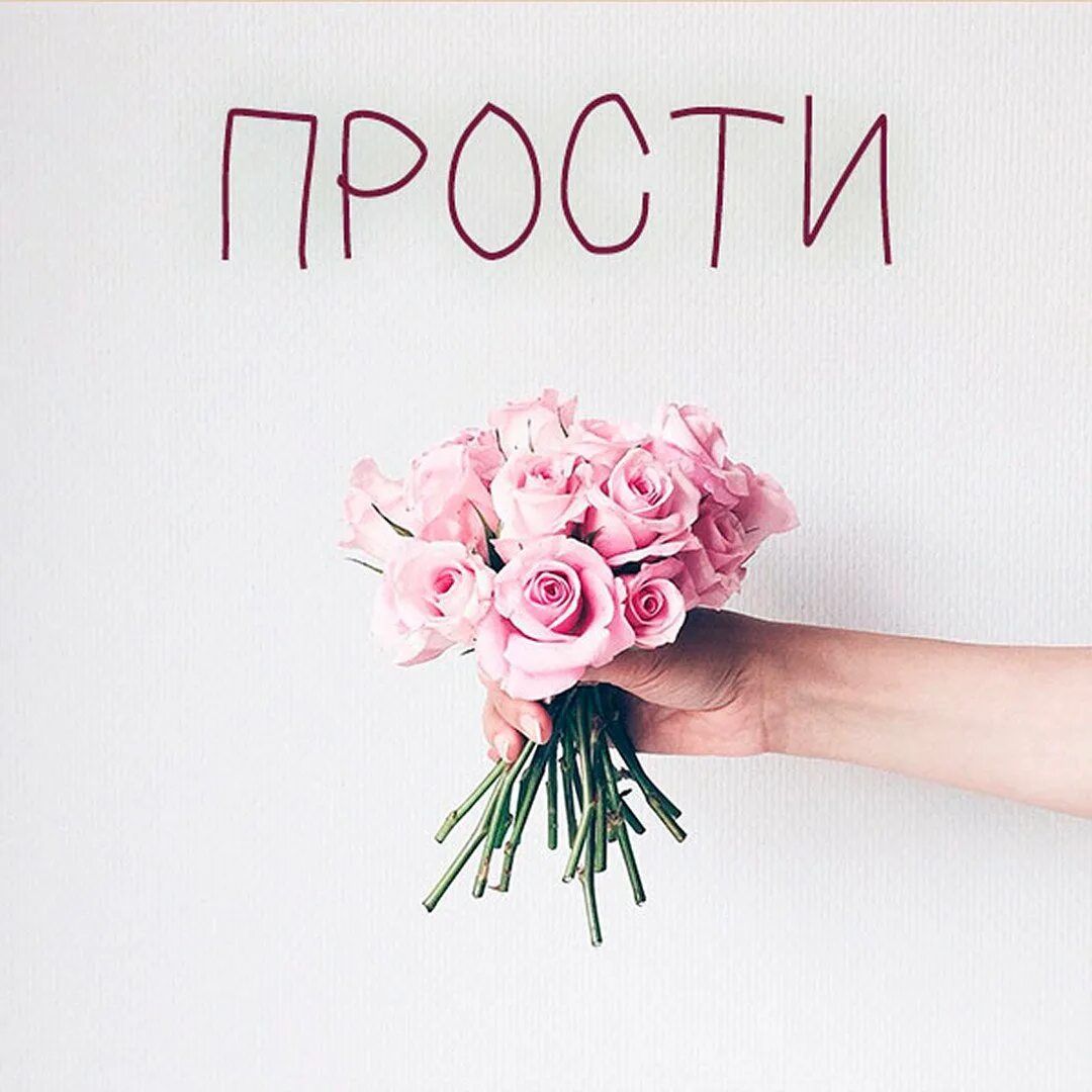Извини цветы. Извини цветы