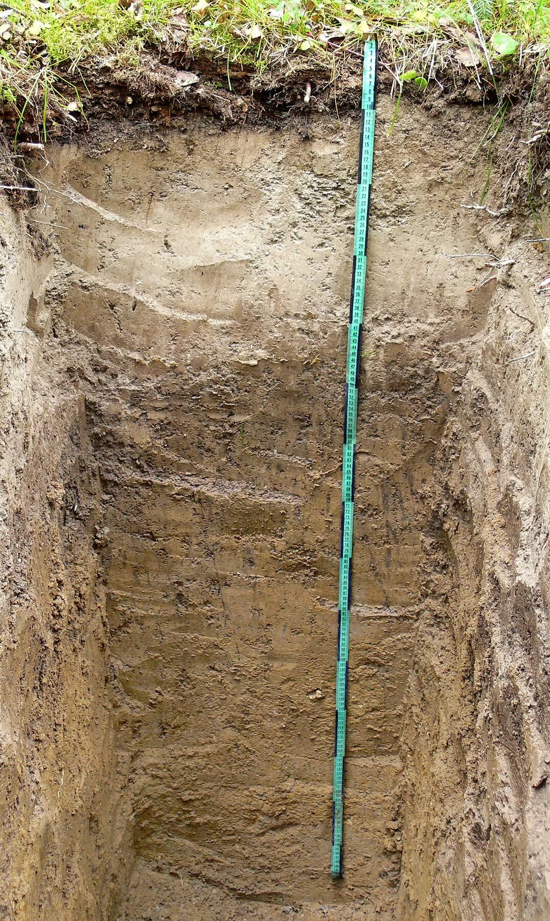 подзолистый грунт это. таежная подзолистая почва. супесчаные дерново-подзолистые почвы. дерново-подзолистые глубокоглееватые и глееватые. дерново-подзолистые почвы гумусовый горизонт.