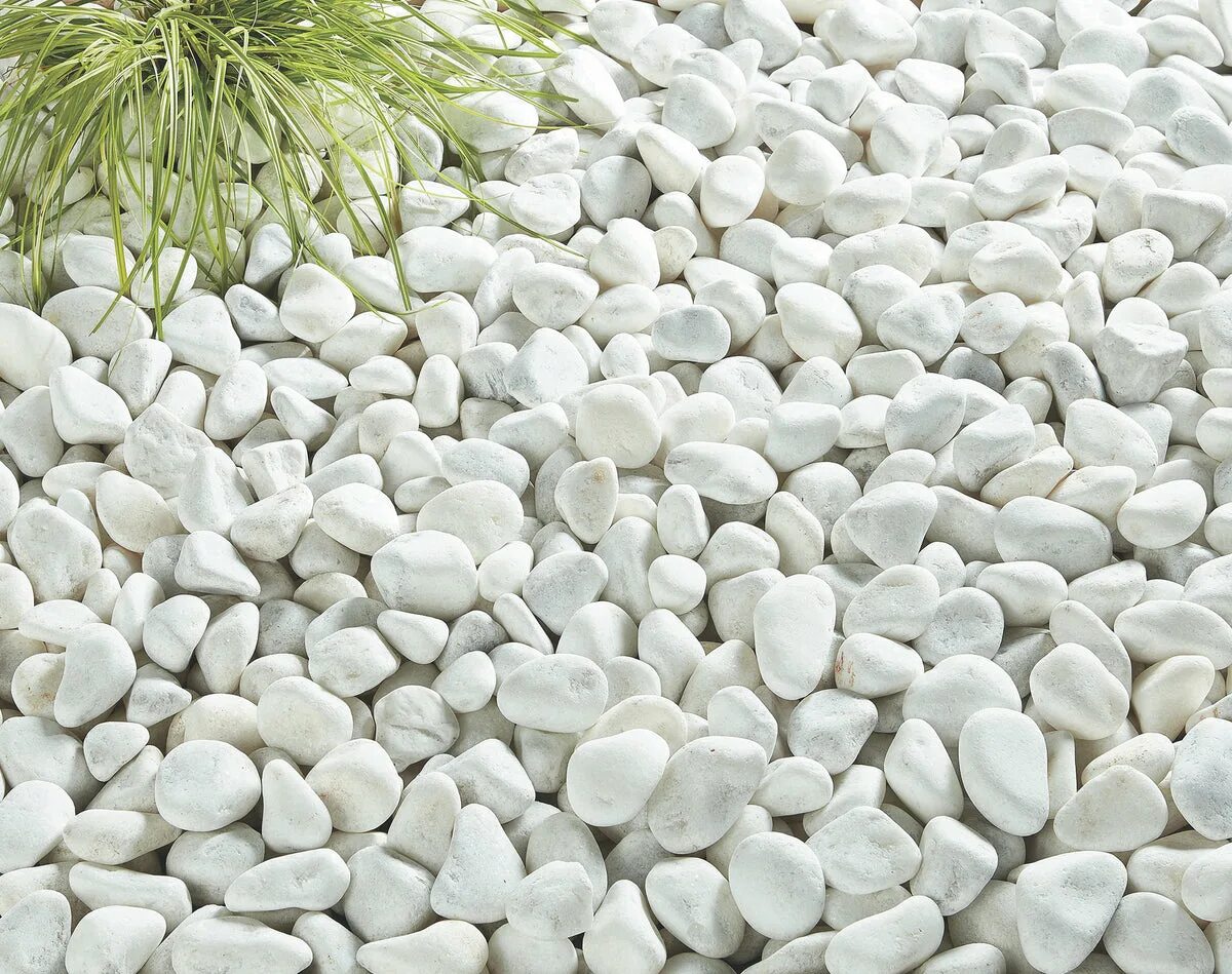 Белые камни где находится. Камень декоративный: галька белая (кварц), фракция 5-50 мм. Белая галька. Камни галька белая. Декоративный камень белый.