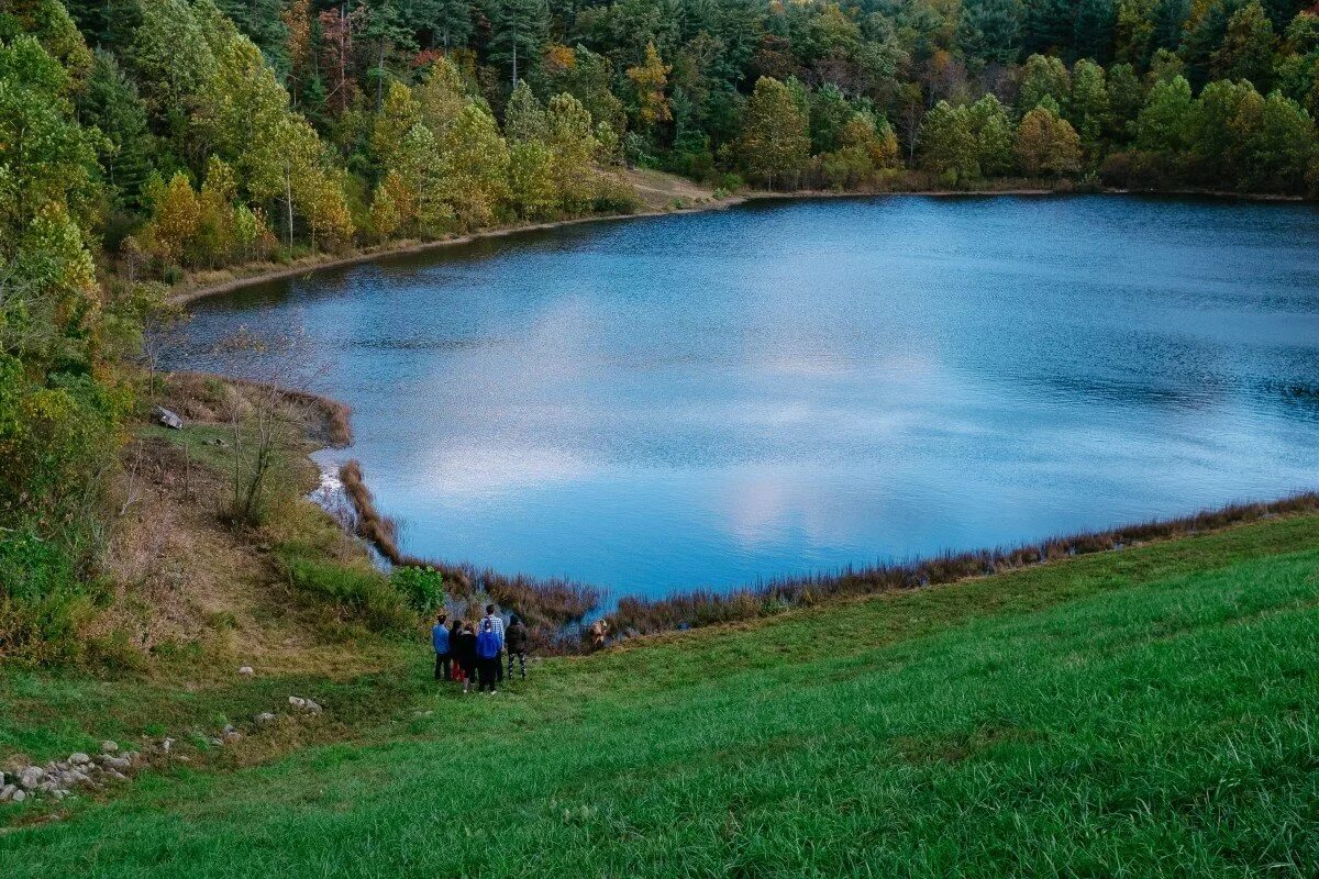 Озеро зеленое Лужский район. Озеро Толони Лужский район. Зеленое озеро в Луге. Озеро зеленое Лужский район фото. Озера г луга